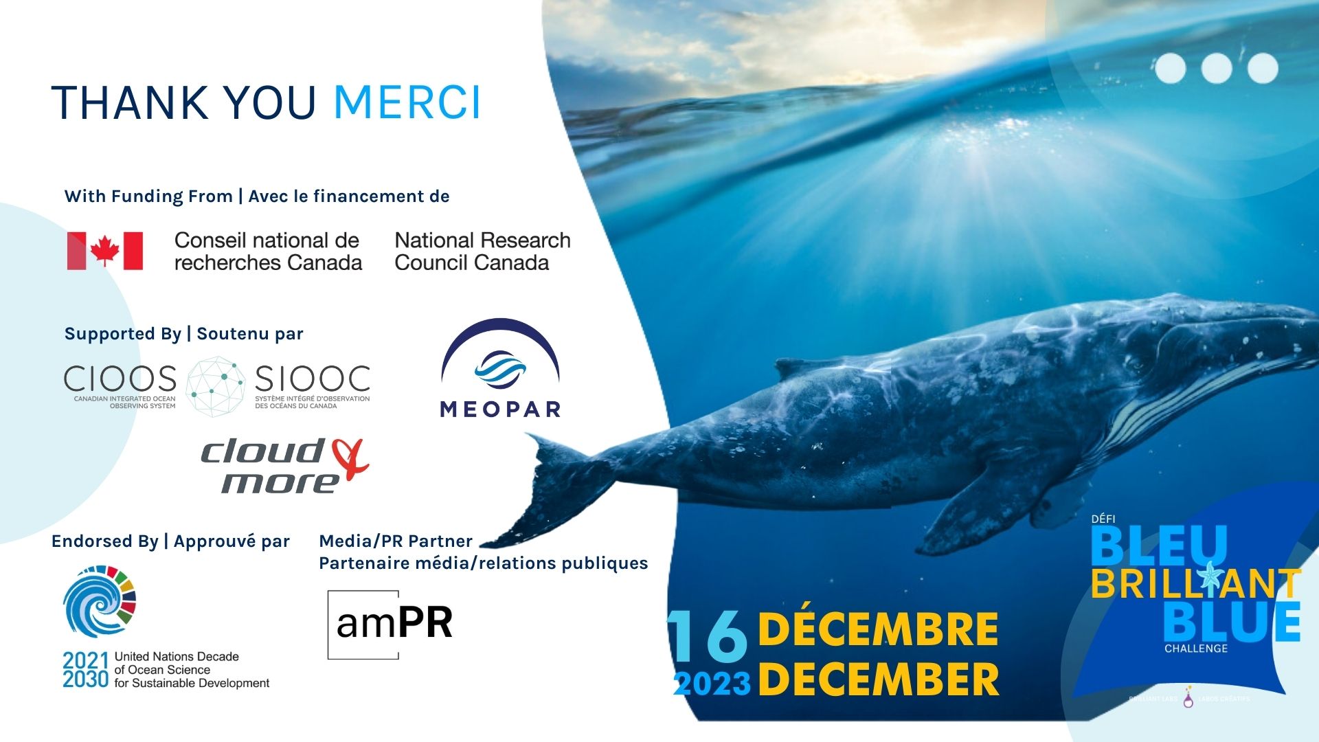 Graphique des financeurs de Bleu Brillant