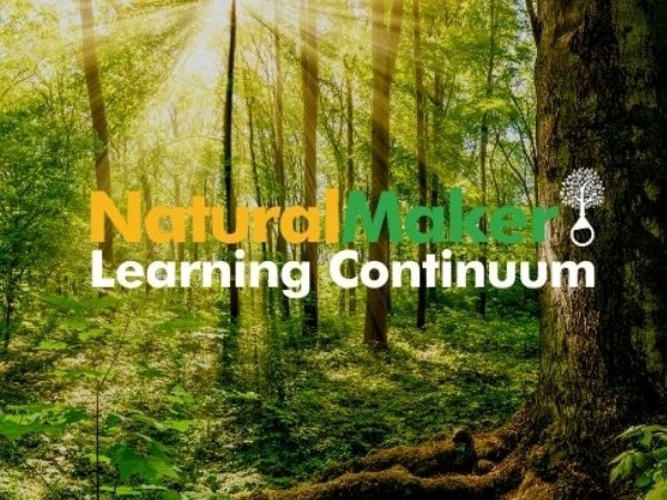 Image illustrant le continuum d'apprentissage des créateurs naturels