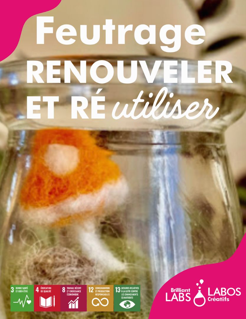 Photo de couverture pour le document du kit Feutrage