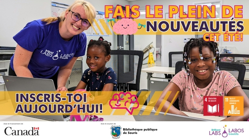 Image de présentation du Bibliothèque publique de Souris Drop In